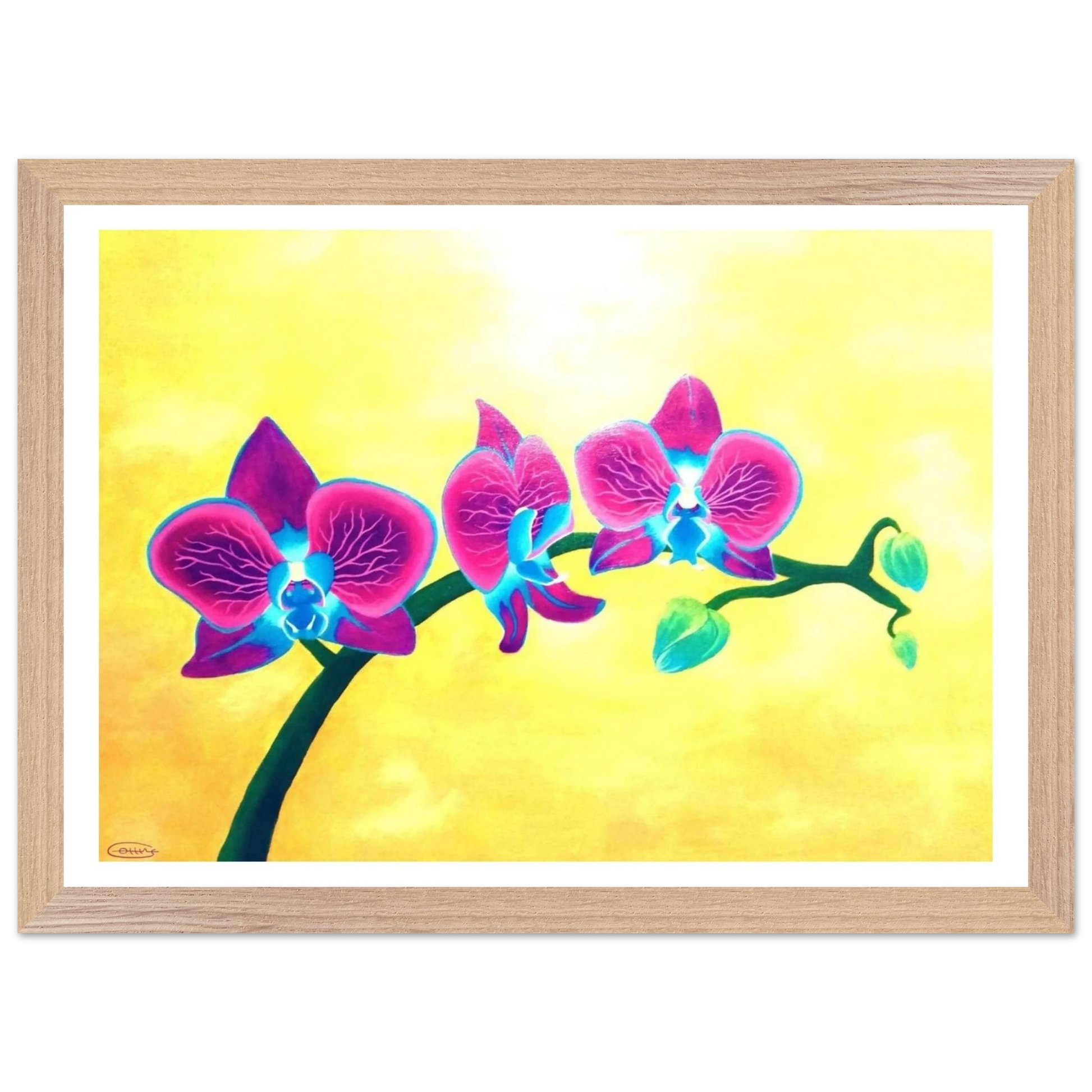 2792ccd0-502e-461c-9459-dc1acbdd360b