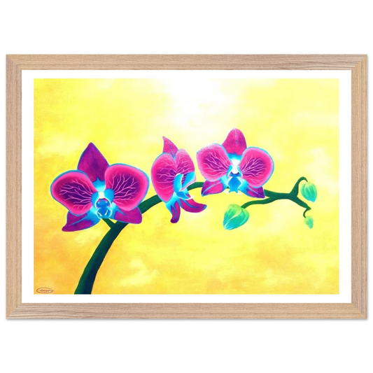 2792ccd0-502e-461c-9459-dc1acbdd360b