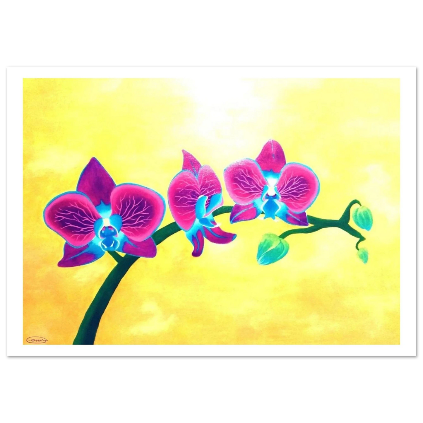 486d1263-3b3d-4aee-98e7-43e6a342cf62