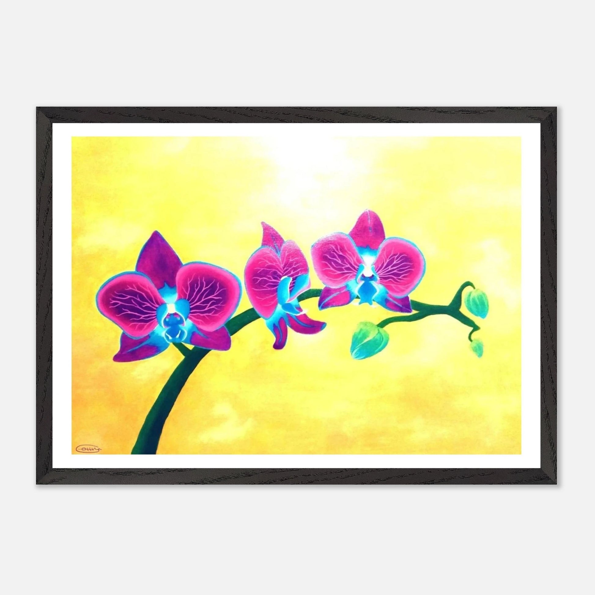 50dd5594-4328-4370-94c8-803827918853