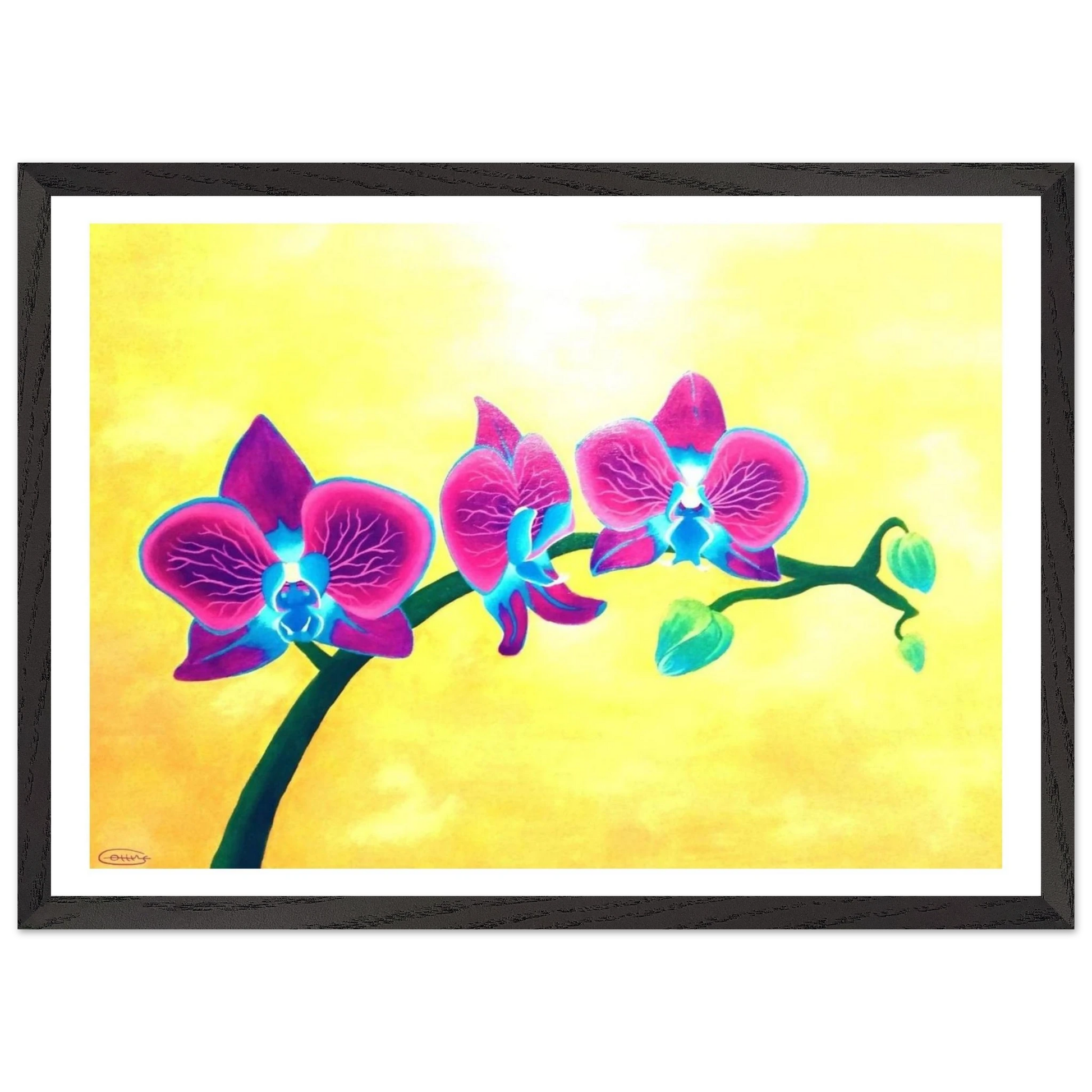 5656f2e4-2a8f-450a-a3fc-0cb6d6ea0904