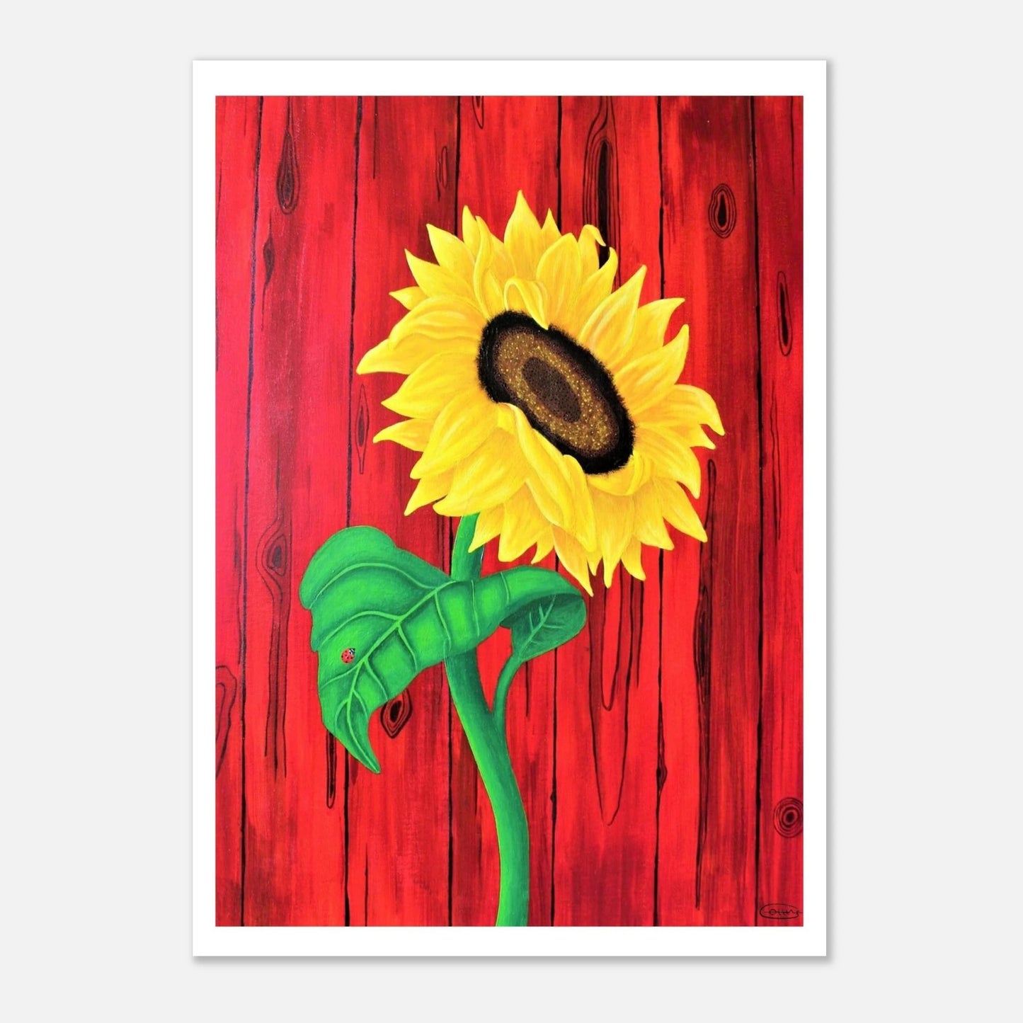 7958504c-0e4f-4b66-b14f-484880517a7e