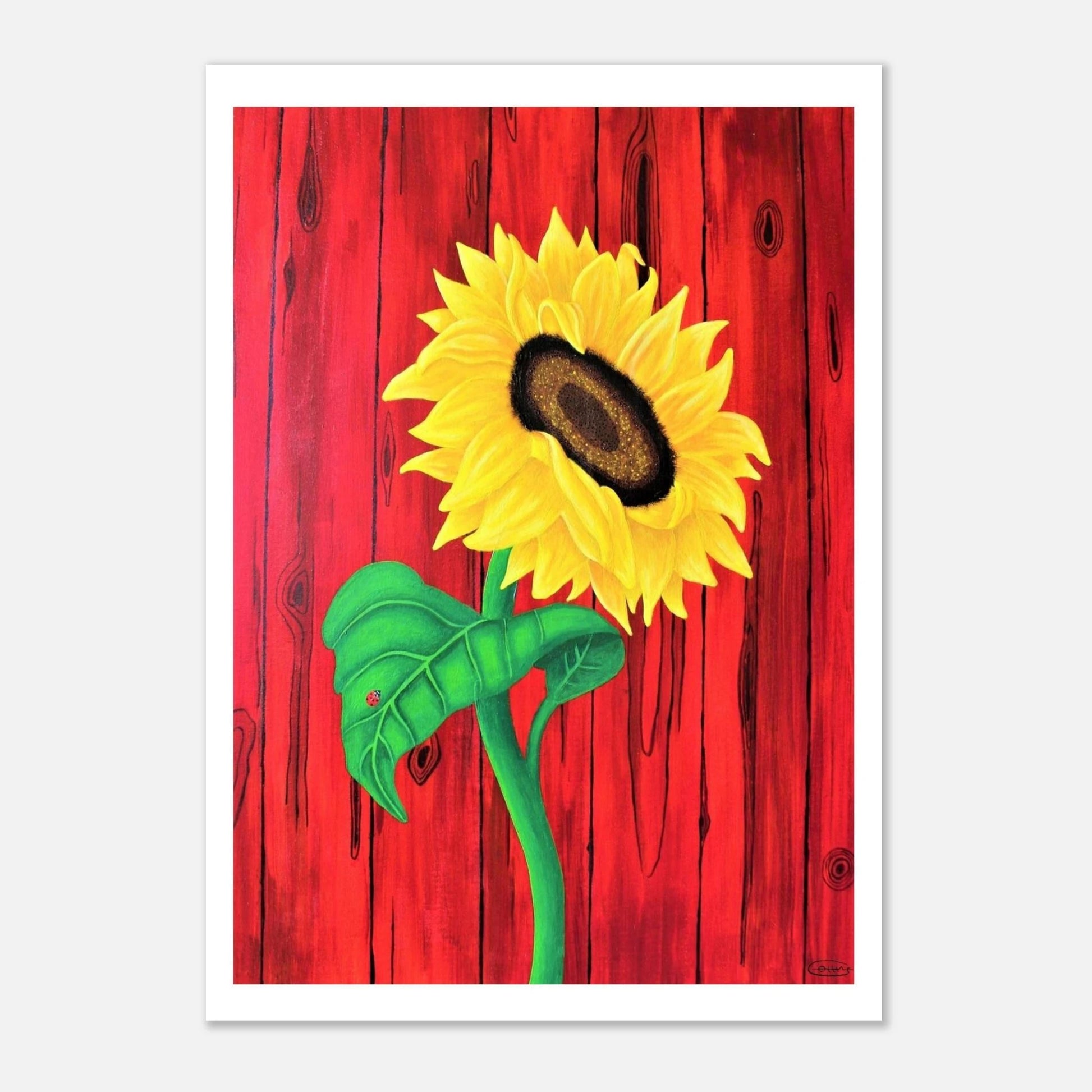 9b4da3e1-6fbb-4257-b6a6-73fd7083d110