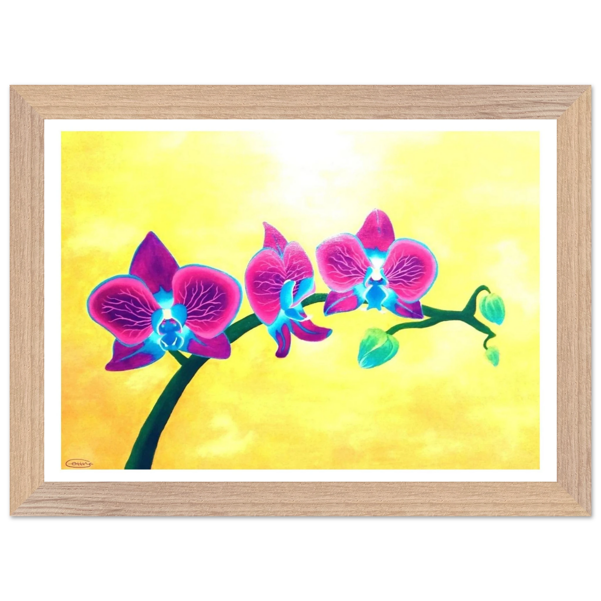 9df717de-32dd-4670-85ab-74d82439a6fd