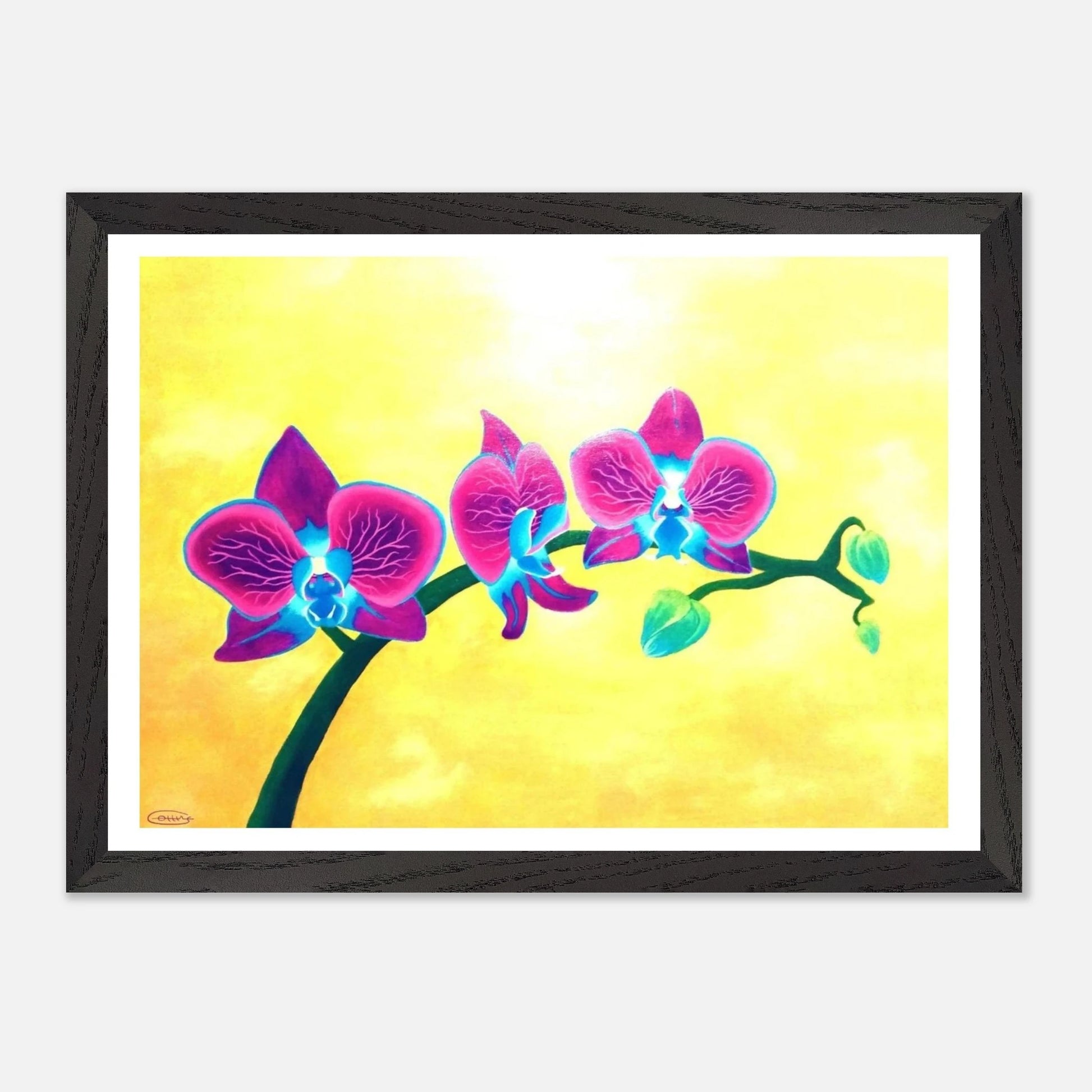 a244b4dd-4b29-4f8e-b085-187e13124991